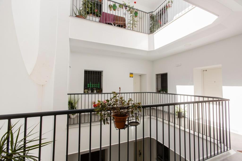 Apartment Pitusa *